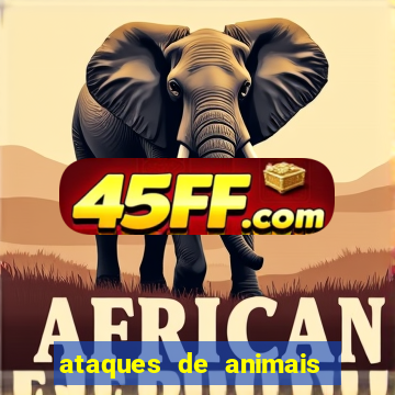 ataques de animais selvagens a humanos fatais
